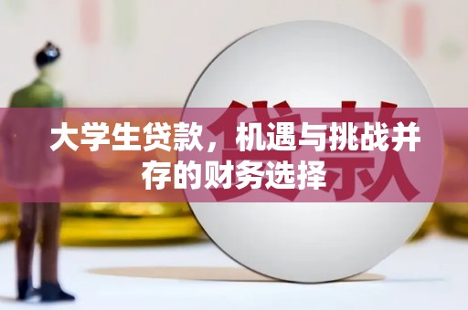 漯河大学生贷款，机遇与挑战并存的财务选择