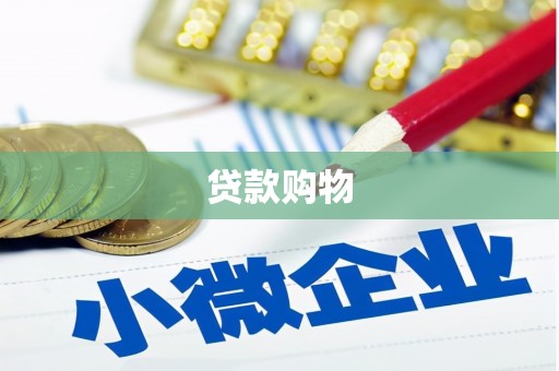 任城贷款购物