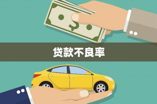 沙鹿贷款不良率