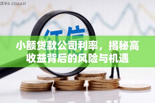 宁明小额贷款公司利率，揭秘高收益背后的风险与机遇
