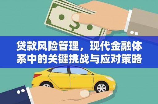 抚远贷款风险管理，现代金融体系中的关键挑战与应对策略