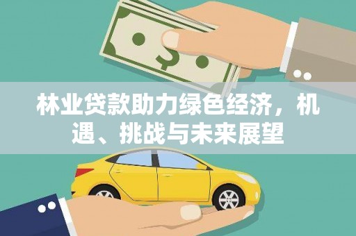 云霄林业贷款助力绿色经济，机遇、挑战与未来展望