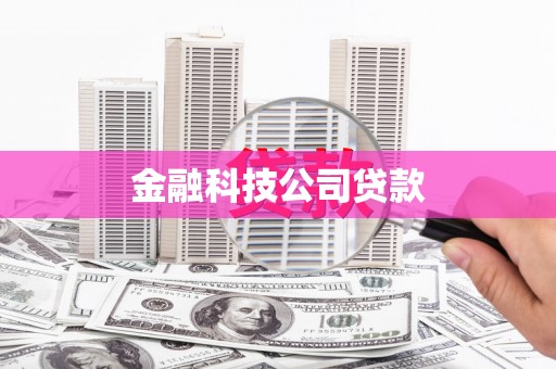 润州金融科技公司贷款