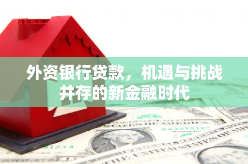 前镇外资银行贷款，机遇与挑战并存的新金融时代