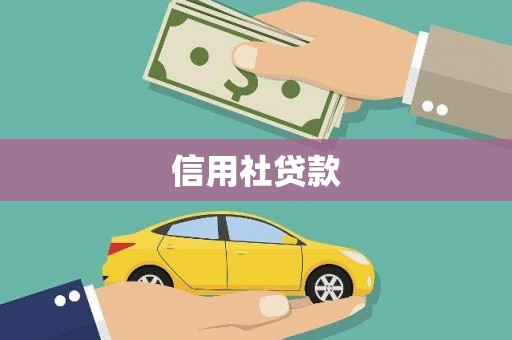 正阳信用社贷款