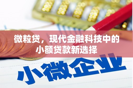 宽甸微粒贷，现代金融科技中的小额贷款新选择