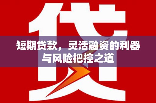 西昌短期贷款，灵活融资的利器与风险把控之道