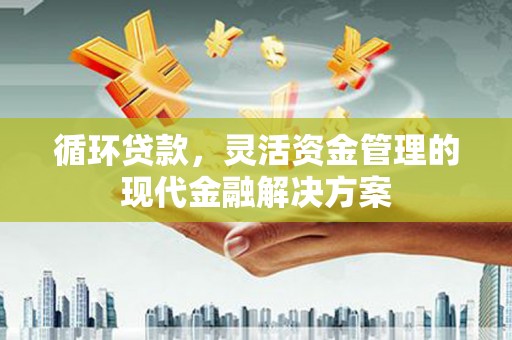 东乡族循环贷款，灵活资金管理的现代金融解决方案