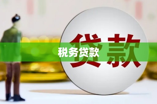 垣曲税务贷款