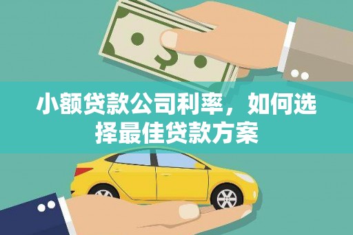 盐源小额贷款公司利率，如何选择最佳贷款方案