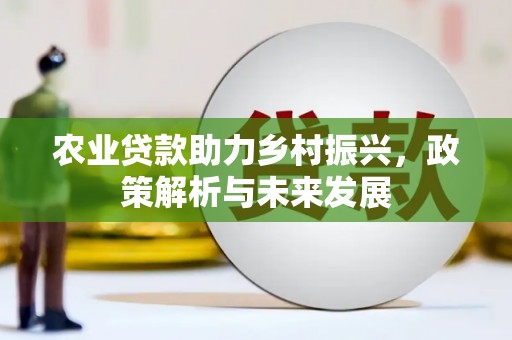 长滨农业贷款助力乡村振兴，政策解析与未来发展