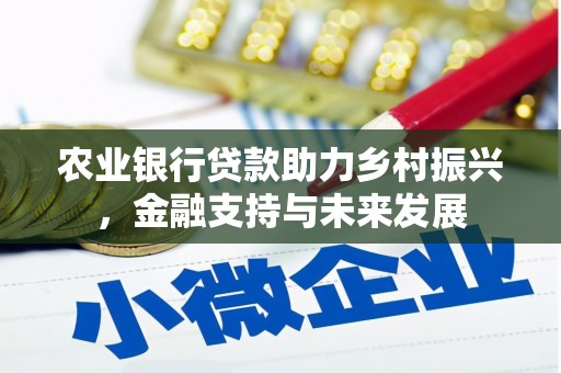 万丹农业银行贷款助力乡村振兴，金融支持与未来发展