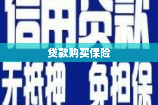 阜城贷款购买保险
