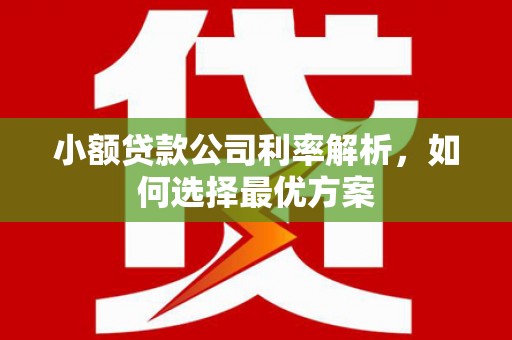 当涂小额贷款公司利率解析，如何选择最优方案