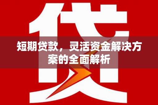 海原短期贷款，灵活资金解决方案的全面解析