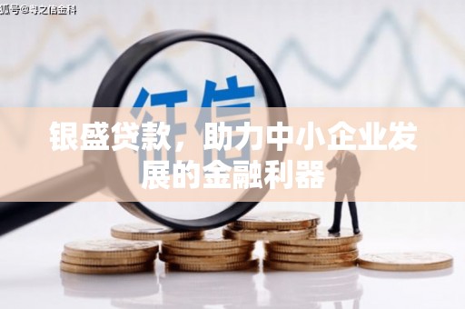 芦洲银盛贷款，助力中小企业发展的金融利器