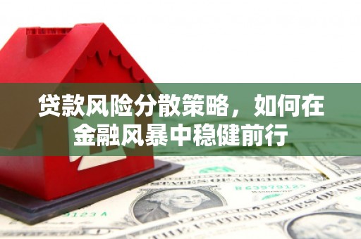 化州贷款风险分散策略，如何在金融风暴中稳健前行