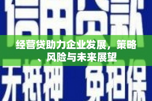 福海经营贷助力企业发展，策略、风险与未来展望