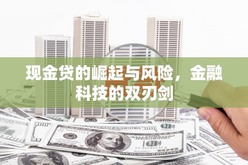 芦淞现金贷的崛起与风险，金融科技的双刃剑