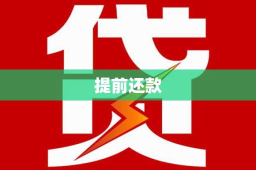 巍山提前还款