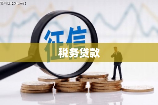 广南税务贷款