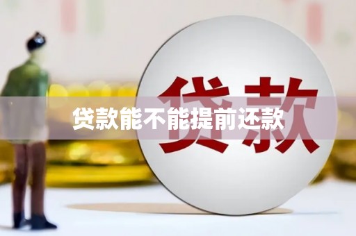 金寨贷款能不能提前还款