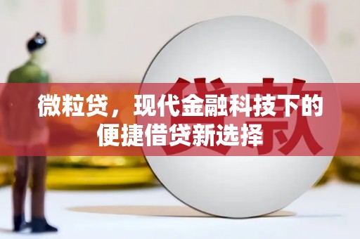 余姚微粒贷，现代金融科技下的便捷借贷新选择