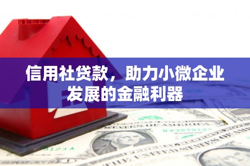 阆中信用社贷款，助力小微企业发展的金融利器