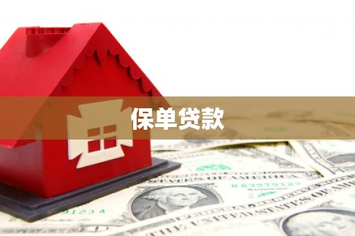 福州保单贷款