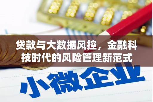 琼中贷款与大数据风控，金融科技时代的风险管理新范式