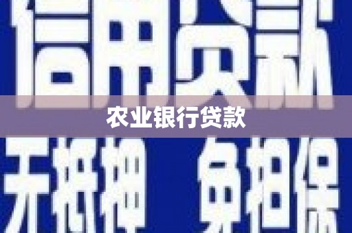 灌阳农业银行贷款