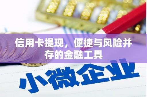 山阳信用卡提现，便捷与风险并存的金融工具