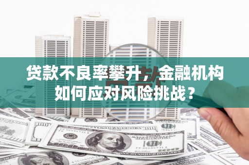 双柏贷款不良率攀升，金融机构如何应对风险挑战？
