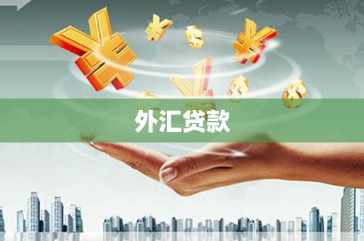 果洛外汇贷款