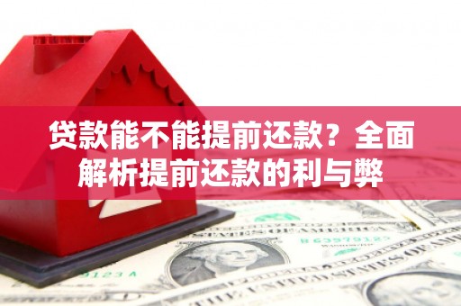 太康贷款能不能提前还款？全面解析提前还款的利与弊