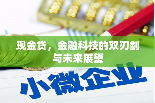 宾川现金贷，金融科技的双刃剑与未来展望