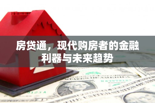 云龙房贷通，现代购房者的金融利器与未来趋势