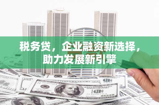 乡城税务贷，企业融资新选择，助力发展新引擎
