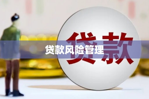 岱山贷款风险管理
