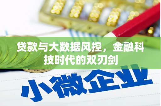 中坜贷款与大数据风控，金融科技时代的双刃剑