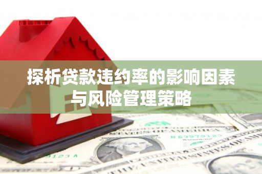 砀山探析贷款违约率的影响因素与风险管理策略
