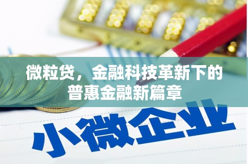新河微粒贷，金融科技革新下的普惠金融新篇章