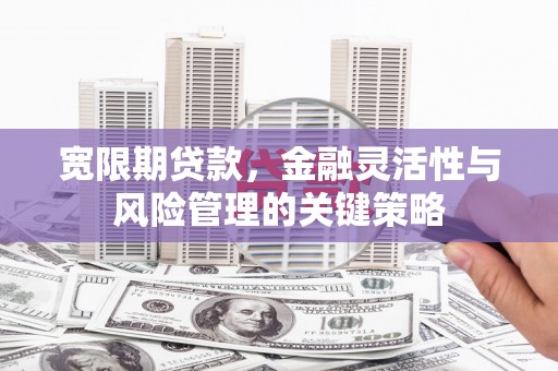 武川宽限期贷款，金融灵活性与风险管理的关键策略