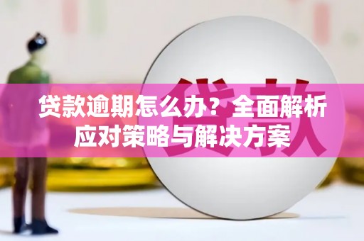 连山贷款逾期怎么办？全面解析应对策略与解决方案