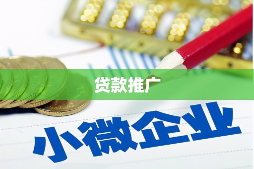 顺河贷款推广