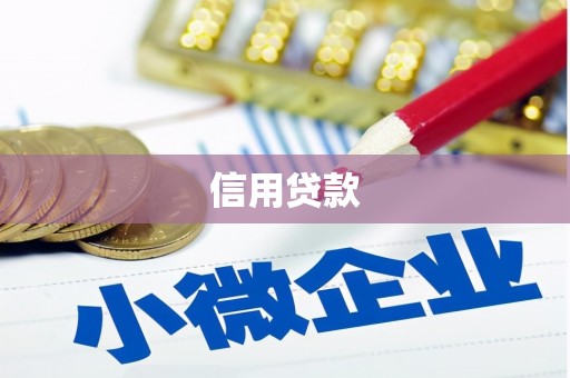 那坡信用贷款