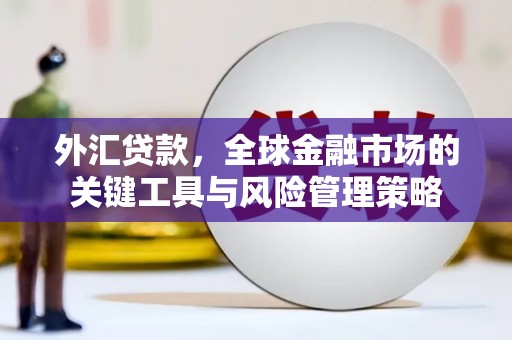 闻喜外汇贷款，全球金融市场的关键工具与风险管理策略