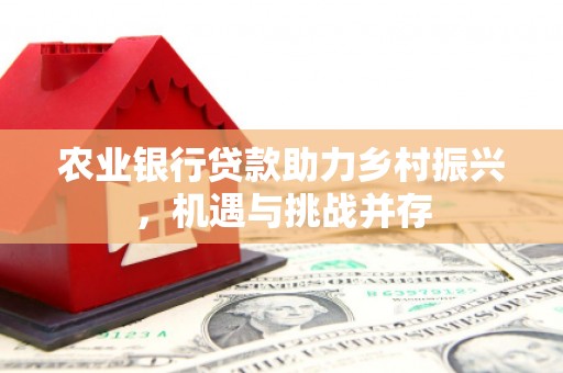 东川农业银行贷款助力乡村振兴，机遇与挑战并存
