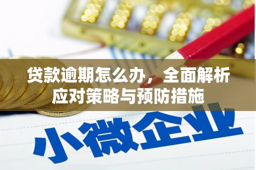集集贷款逾期怎么办，全面解析应对策略与预防措施