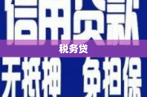临海税务贷